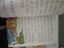 中华上下五千年 彩图注音版 中国传统文化 小学语文课外阅读经典丛书 大语文系列 实拍图