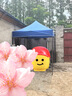鑫鸿运【顺丰速发】遮阳棚雨棚户外遮阳伞大伞摆摊四脚伞帐篷简易伸缩棚 【2X2】黑架经典加固（蓝色） 实拍图
