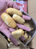 雁门郡山西特产纯碱烤馍临县三交干馍馍碱水馍早餐零食兰炭火烤馒头 长条馍3斤（掌柜推荐) 实拍图