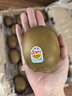 佳沛（zespri）新西兰  阳光金奇异果巨大果22粒原箱 单果重约144-175g 猕猴桃 实拍图