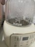 苏泊尔（SUPOR）养生壶煮茶器花茶壶恒温水壶烧水壶电热水壶 办公室保温煮茶壶1.2升SW-12Y09 实拍图