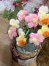 范爷家小熊玩偶花束仿真花毛线针织成品永生花礼品送女友闺蜜生日礼物 实拍图