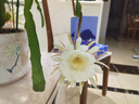 恒洁（HEGII）花洒喷头 便捷拨片除垢手持多功能大面板淋浴花洒头HMS202-120 实拍图