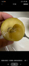 佳沛（zespri）新西兰  阳光金奇异果25-27粒原箱特大果单果约122-146g  猕猴桃 实拍图