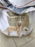皇家狗粮 金毛成犬狗粮 犬粮 宠物大型犬 GR25 全价犬粮 ≥15月 12KG 实拍图