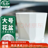 寿禾 花盆大号带托盘树脂塑料绿植种植盆 木里盆大号-浅灰 实拍图
