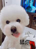 好之味牛肉海藻卵磷脂配方优质鸡肉大型犬成犬通用狗粮10kg金毛萨摩 实拍图