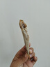 赶海弟【潍坊产地】红娘鱼干500g红头扒皮咸鱼干海鲜干货 源头直发包邮 实拍图
