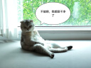 富士通扫描仪a4连续快速扫描机自动批量文件票据高速双面扫描仪机 fi-6130z（45张/分） 实拍图