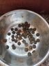 海洋之星 三文鱼中小型大型犬狗粮金毛比熊边牧狗粮成犬小颗粒1.5kg 实拍图