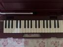 雅马哈（YAMAHA）口风琴键盘初学专业演奏P-37D棕红色37键【学生适用 老师推荐】 实拍图