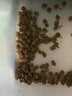 狗粮冻干鸡肉绒夹心鲜肉酶解犬粮成幼犬通用1.5kg/3斤 实拍图