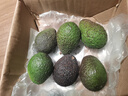 爱鲜摘农场 金奖·哈斯牛油果云南孟连【闪送】当季鳄梨非即食新鲜水果礼盒 【80%选择】精品果丨约100-130g 6枚【20%选择-较划算】普装 实拍图