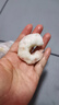 GUO LIAN国联 阿根廷红虾仁加大号无冰净重200g 7-11只 京东虾仁品质保障 实拍图