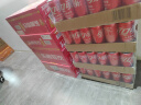 东鹏特饮 有奖版 维生素功能饮料 250ML*24瓶/箱 王者荣耀皮肤版 实拍图