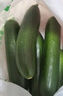 京喜加新鲜无刺水果小黄瓜小青瓜脆甜荷兰脆嫩生吃黄瓜蔬菜 水果黄瓜 1斤 实拍图
