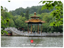徕卡（Leica） D-LUX 8 多功能便携数码相机徕卡d-lux8 莱卡高清旅行街拍视频 徕卡D-LUX 8 【官方标配】180天只换不修 实拍图