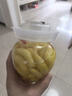 云山半枸杞泡姜芽500g 山东泡嫩姜仔姜芽生姜腌菜下饭菜泡菜 实拍图