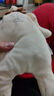 澳贝（auby）婴幼儿童玩具手摇铃 新生儿0-3-6个月宝宝用品抓握训练0-1岁安抚 实拍图