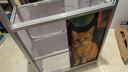 Orijen渴望猫粮 红肉高能无谷 成猫幼猫干粮全价通用进口1.8kg效期25/7 实拍图