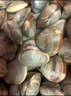 鲜活蛤蜊海捕无沙新鲜花甲贝类生鲜花蛤超大美贝蚬子海鲜水产顺丰 鲜活共5斤（3斤送2斤） 实拍图