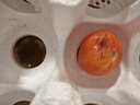京鲜生 沙瓤粉西红柿 净重3斤 果菜两吃 源头直发 【搜生鲜馆】 实拍图
