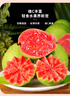 探味君 广西红心芭乐番石榴 新鲜水果生鲜健康轻食带箱 软糯红心芭乐净重4.8斤 实拍图