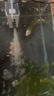 森森 小鲤鱼缸过滤器净水循环三合一内置水族箱过滤系统XQP-500F 6W 实拍图