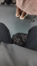 龙大肉食 去皮去膘猪后腿肉2斤 出口日本级猪腿肉后臀尖猪肉烤肠肉馅食材 实拍图