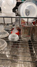 贝亲（Pigeon）自然实感第3代启衔奶嘴 宽口径奶嘴 M号-2只装 3个月以上  BA135 实拍图