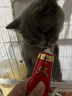 USPET猫咪专用化毛膏幼猫成猫化毛排毛调理肠胃免疫力补充营养1支*120g 实拍图