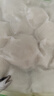安井 活鱼现杀嫩鱼丸 400g 鱼糜含量65% 火锅食材麻辣烫关东煮丸料 实拍图