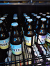 白熊（VEDETT） 精酿啤酒 330ml*24瓶  柑橘芳香 啤酒整箱装 实拍图