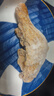 圣农（sunner） 霸气大鸡腿即食鸡全腿蜜汁麻辣卤香风味烤鸡腿微波即食冷冻食品 手枪腿蜜汁卤香味180g*5包 实拍图