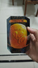 李锦记 XO酱220g+海皇XO80g 明虾火腿干贝丝拌面海鲜捞面调味酱 实拍图