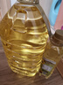 多力【张若昀同款】黄金3益玉米油5L 食用油 含维生素a 实拍图