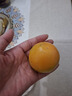 湖北秭归橙爆汁橙 带箱2斤55-60mm 实拍图