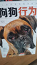 图解狗狗行为:100种姿势表情声音的解读 动物行为顾问兽医科学分析犬类宠物教养图鉴 狗狗训练教程 养狗书籍 狗狗心理学 训狗教程养犬养狗 实拍图