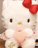 伊美娃娃正版HelloKitty凯蒂猫公仔kt猫玩偶毛绒玩具送女孩女生生日礼物 实拍图