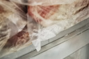 春禾秋牧 阿根廷安格斯谷饲原切四肋牛肋排2.5斤 偏肥煲汤进口生鲜牛肉 实拍图