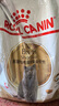 皇家猫粮10kg英短猫粮成猫粮布偶美短波斯虎斑蓝猫专用全价猫粮通用粮 BS34英国短毛猫成猫猫粮10kg 实拍图