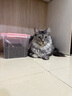 素力高（SolidGold）【美毛升级款】进口鲜肉高蛋白鳕鱼鱼油美毛猫粮12磅5.44/kg 实拍图