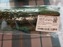 紫溪山嫩黄瓜约550g 实拍图