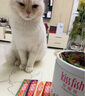 麦富迪猫零食 猫条猫罐头成幼猫升级功能款猫条混合味700g（14g*50支） 实拍图