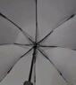日全时全自动雨伞智能电动雨伞一键全收晴雨两用遮阳伞男防晒防紫外线伞 实拍图