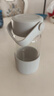 北鼎（Buydeem）茶水分离泡茶杯耐高温玻璃杯男女高颜值水杯 户外便携随手杯360ml 实拍图