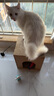 加仕高猫抓板窝瓦楞纸猫窝耐磨一体猫房子大号多猫封闭式双层猫咪纸箱屋 实拍图