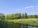 美菱（MeiLing）加湿器空气加湿器 家用轻音卧室大容量大雾量孕妇婴儿净化空气小型空调喷雾上加水加湿器 MH-T139 【大雾量加湿】标准款 实拍图