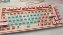 高特轴OUTEMU 青轴机械键盘轴体热插拔客制化有声段落轴体更换替换类青轴声音清脆 适配狼蛛f87pro vgn 轴体基础工具包 1颗【勿拍】 实拍图