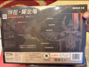 若客（ROKR）智控犀金龟 金属拼装模型玩具机械甲虫积木儿童节礼物家居装饰 实拍图